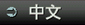 中文